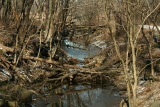 Brook in Winter