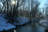 Sun thru the Trees