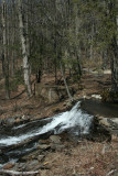 Falls