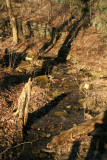Stream