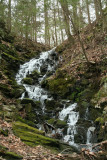 Cascades