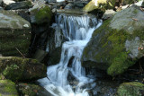 Cascades Close-up