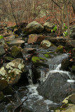 Stream