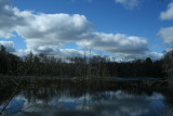 Spring Morning at the Pond