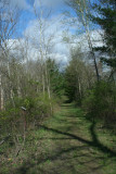 Down the Trail