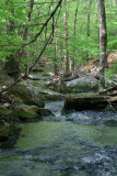 Stream
