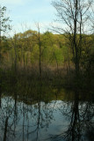 Reflection