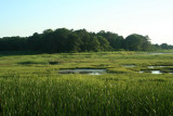 Marsh