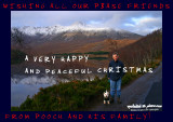 25122006 MERRY CHRISTMAS POOCHFRIENDS!