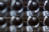 100% Crops Glasses Bokeh Front