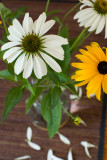 Pentax-FA 50/1.4 @ f/8