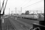 Dandenong