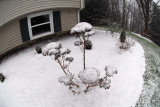 DSC_1684.jpg
