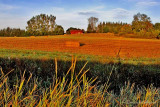 farming in autumn, sweden