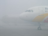 Fog in Sharjah.JPG