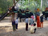 Riding into the temple