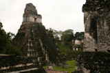 Tikal Guatemala