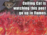 ceilingcatflames.JPG