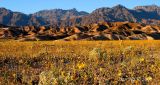 Death Valley