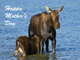 HAPPY MOTHERS DAY!!!