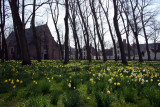 Beguinage in spring