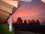 Birdfeeder Sunrise