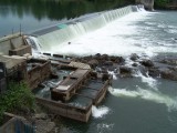 Umpqua River Fish Ladder