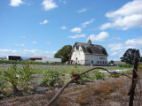 Barn From The North