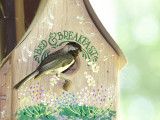 Carolina Chickadee <i>Poecile carolinensis</i>