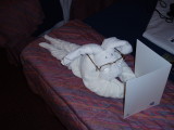 Carnival Destiny Cruise 2004