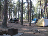 Big pine campground, Custer, SD