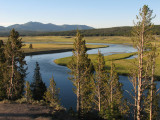 Yellowstone National Park