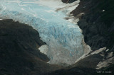 558GlacierBay1795b.jpg