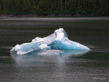 638GlacierBay0740b.jpg