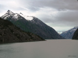 661GlacierBay0776b.jpg