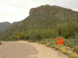 Sabino Canyon Signs
