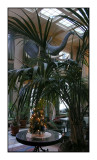 061202 The George Eastman House