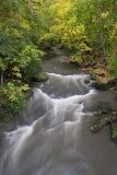 Plum Creek.jpg