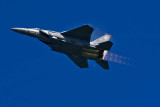 F-15E Strike Eagle .jpg