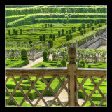 Jardins de Villandry 10