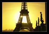 Palais de Chaillot - Tour Eiffel 13