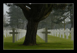 War Cemetery - Colleville 1