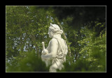 Versailles gardens 80