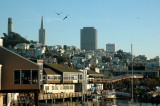 San Francisco from Pier 39