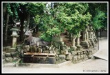 Shrine to a Deer God