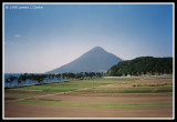 With a rice field in the foreground