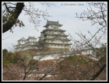 Looking up towards the Castle