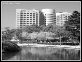 Nagoya University Hospital (B&W)
