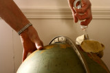 Susan cleans the world