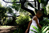 Aviary adventure